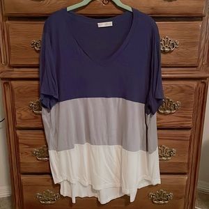 Tickled Teal Colorblock Tunic 2X